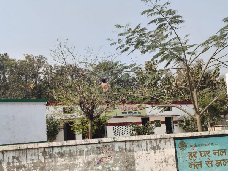 सीतापुर में प्राथमिक विद्यालय सरैया मसूदपुर पर आरोप, बच्चों से पढ़ाई के बजाय कराया जा रहा श्रम