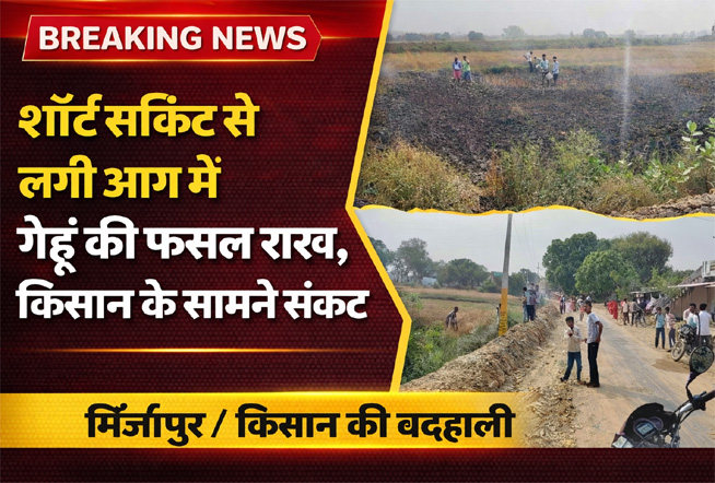 शॉर्ट सर्किट से लगी आग में गेहूं की फसल राख, किसान के सामने संकट
