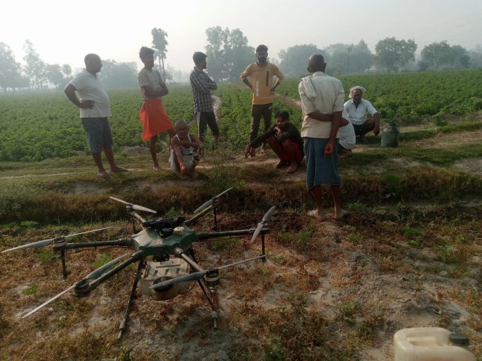 Drone spraying is being done by CSIR-CIMAP.