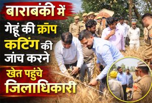 गेहूं की क्रॉप कटिंग बाराबंकी में जांच करते जिलाधिकारी