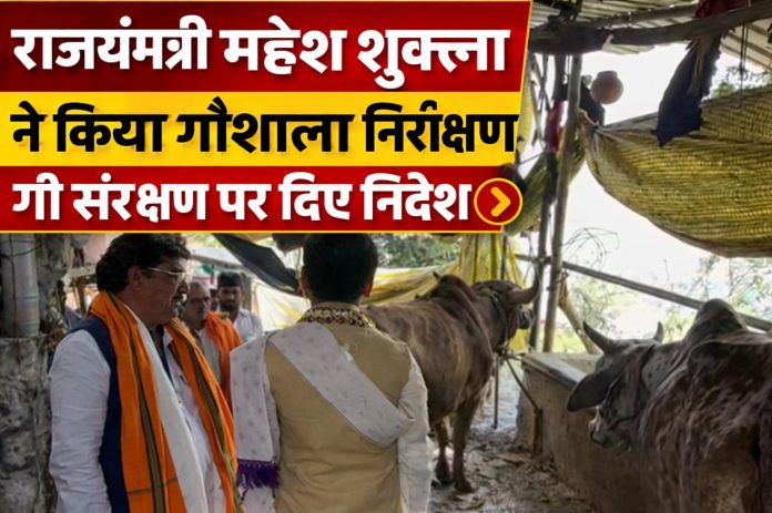 Mahesh Shukla Mirzapur gaushala inspection gau sanrakshan image