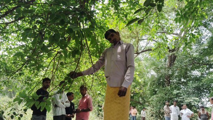 जंगल में पेड़ से लटका युवक, मौके पर जुटी ग्रामीणों की भीड़