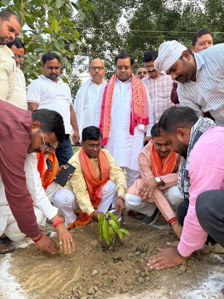 विश्व पर्यावरण दिवस पर भाजपा का महाअभियान, मीरजापुर के 24 मंडलों में हुआ पौधारोपण
