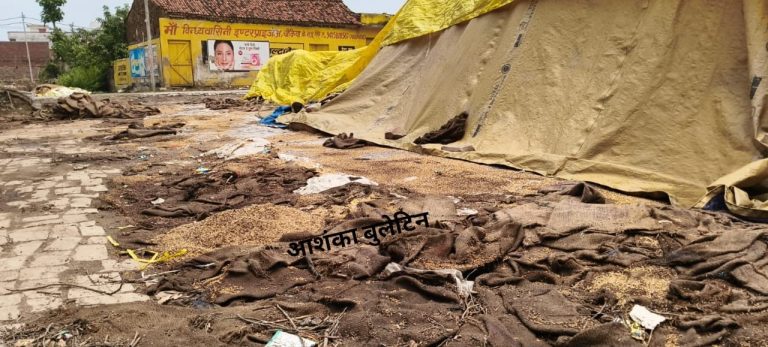 मिर्जापुर: खुले में पड़ा सरकारी गेहूं, बारिश और अव्यवस्था से नुकसान की आशंका, उठे सवाल